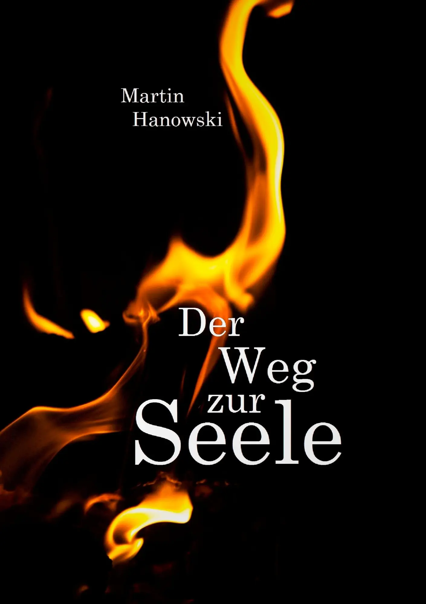 Cover: 9783743102088 | Der Weg zur Seele | Martin Hanowski | Taschenbuch | 200 S. | Deutsch