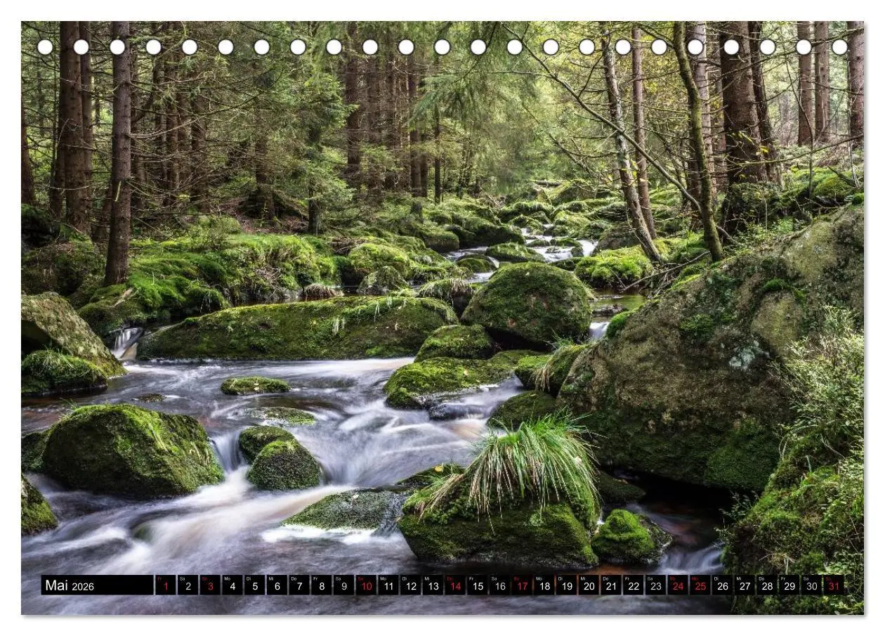 Bild: 9783516002188 | Der Harz einfach magisch (Tischkalender 2026 DIN A5 quer), CALVENDO...