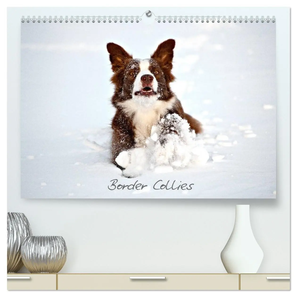 Cover: 9783516172188 | Border Collies (hochwertiger Premium Wandkalender 2026 DIN A2...