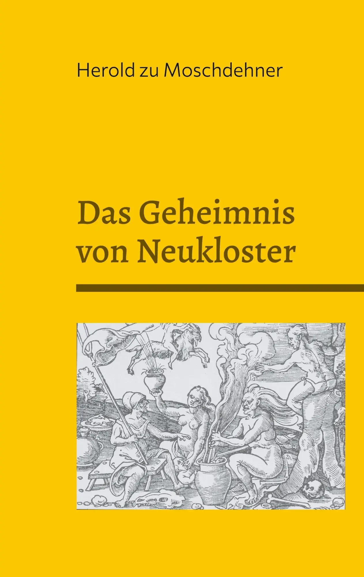 Cover: 9783769312188 | Das Geheimnis von Neukloster | Der Hexenstein und die Dornenwächter