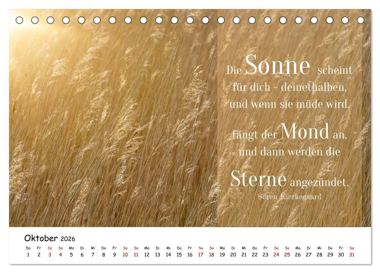 Bild: 9783457452288 | Lebensweisheiten, motivierende Sprüche und kluge Zitate mit Bildern...