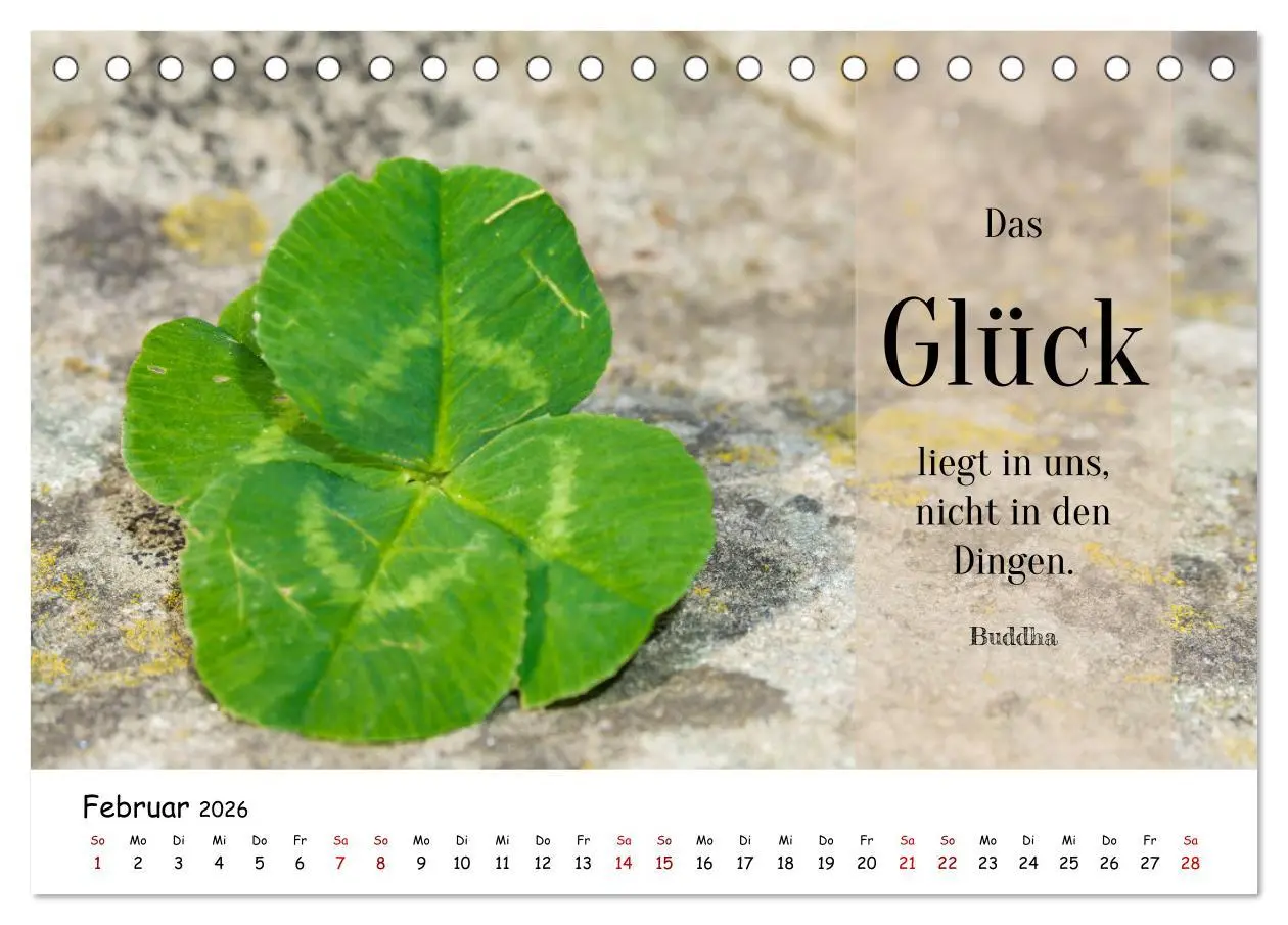 Bild: 9783457452288 | Lebensweisheiten, motivierende Sprüche und kluge Zitate mit Bildern...