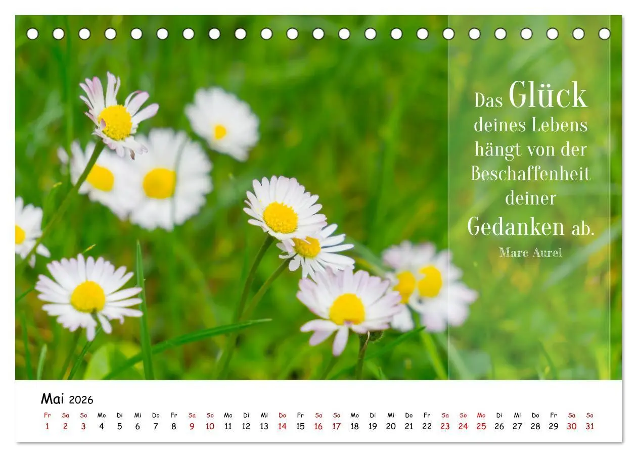 Bild: 9783457452288 | Lebensweisheiten, motivierende Sprüche und kluge Zitate mit Bildern...