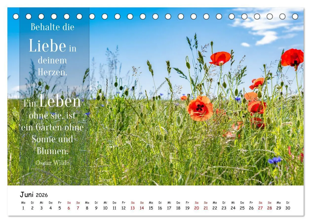 Bild: 9783457452288 | Lebensweisheiten, motivierende Sprüche und kluge Zitate mit Bildern...