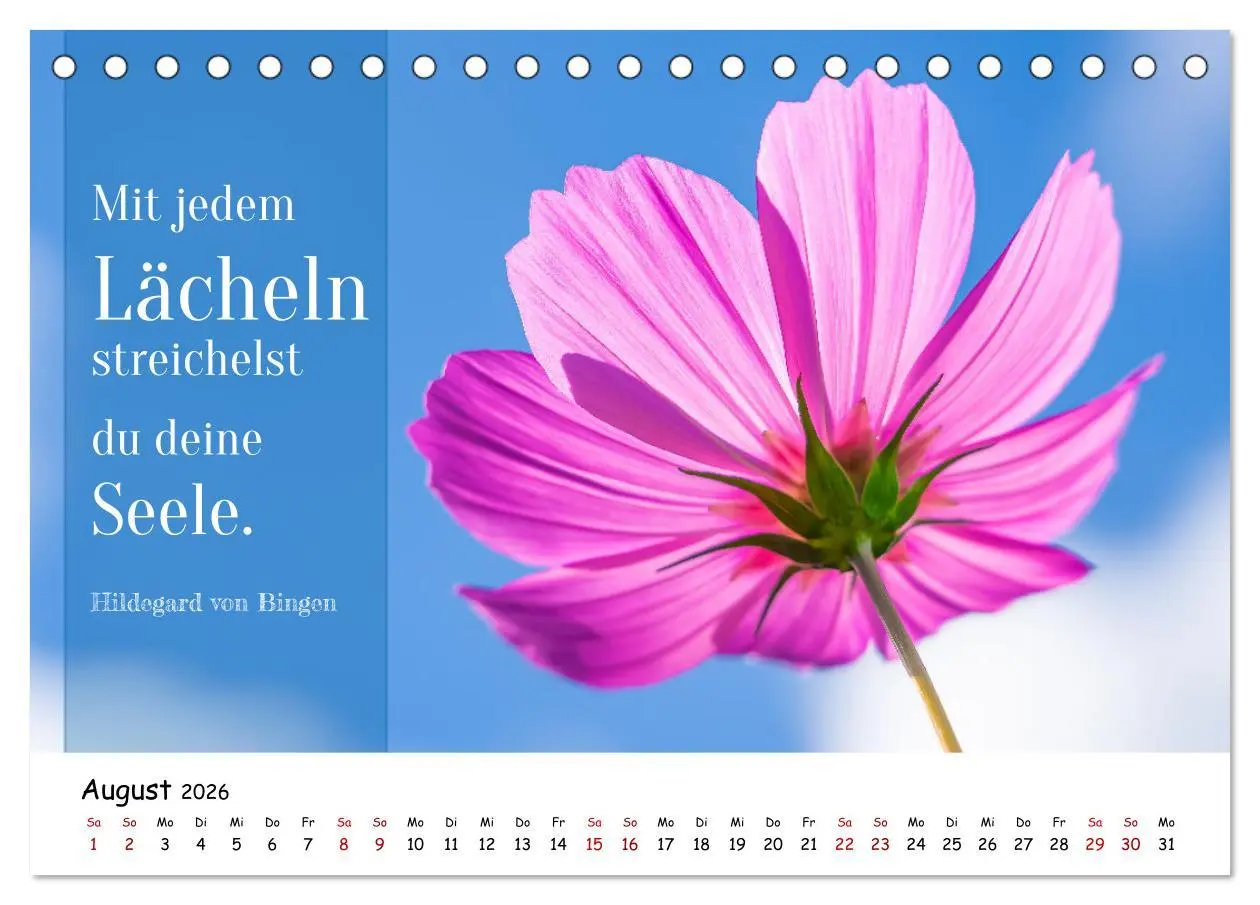 Bild: 9783457452288 | Lebensweisheiten, motivierende Sprüche und kluge Zitate mit Bildern...