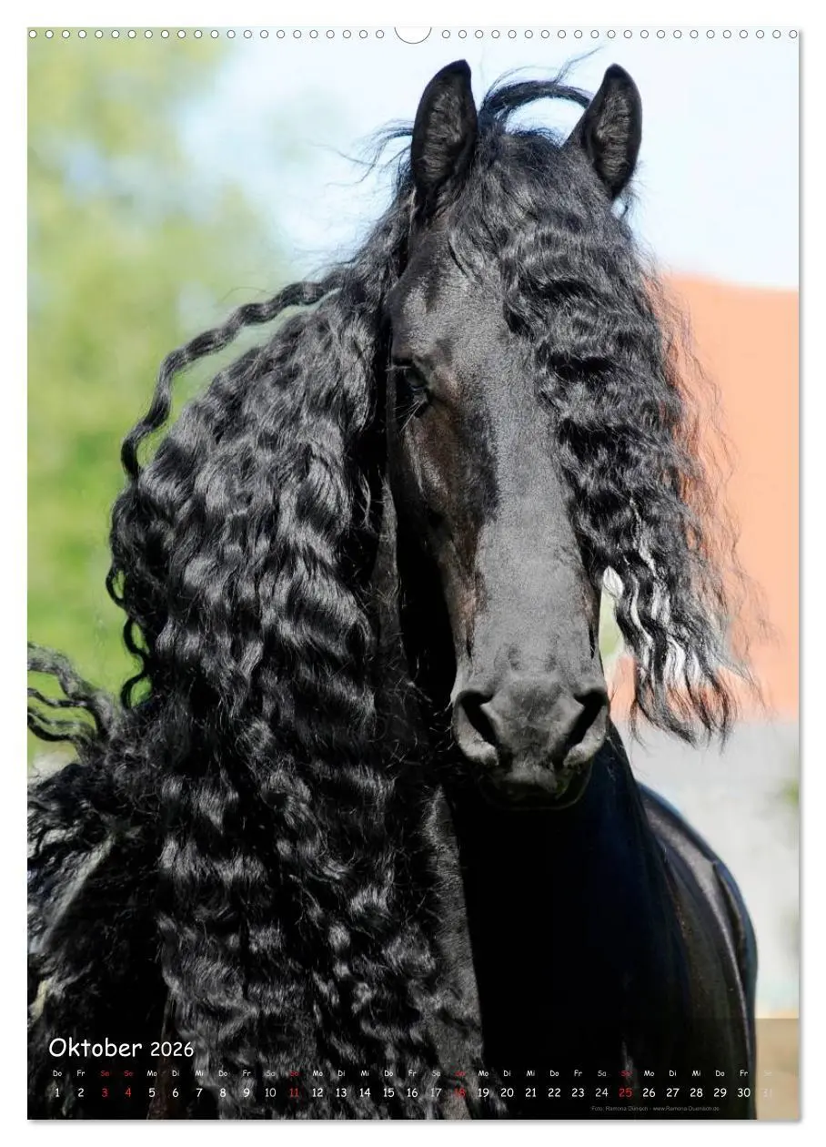 Bild: 9783516472288 | Friesen - die schwarzen Perlen (hochwertiger Premium Wandkalender...