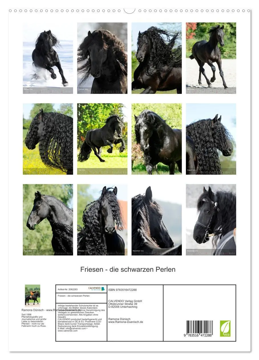 Bild: 9783516472288 | Friesen - die schwarzen Perlen (hochwertiger Premium Wandkalender...