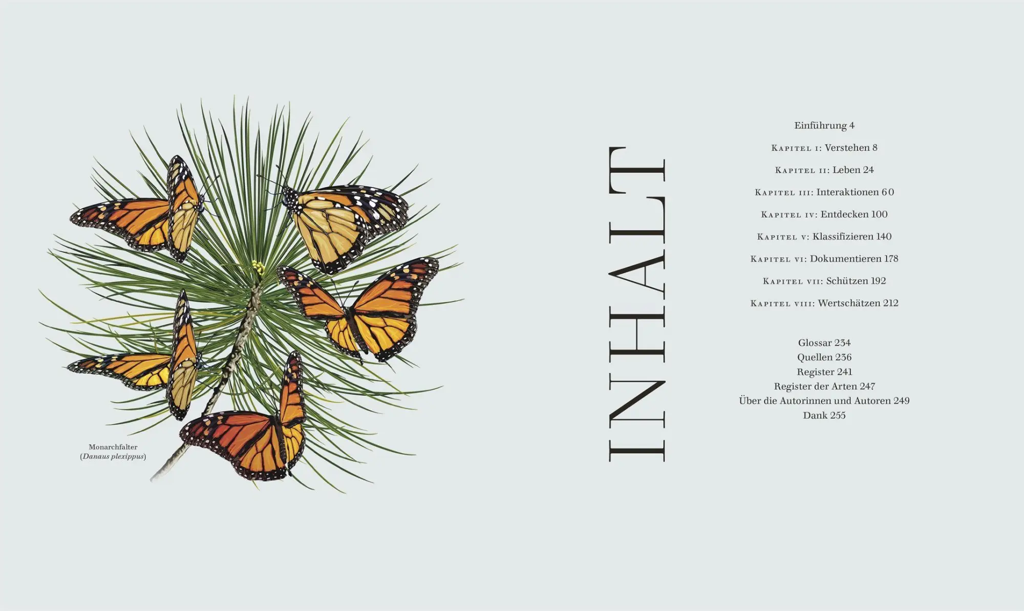 Bild: 9783831052288 | Insekten | DK Verlag | Buch | Faszination Natur | 256 S. | Deutsch