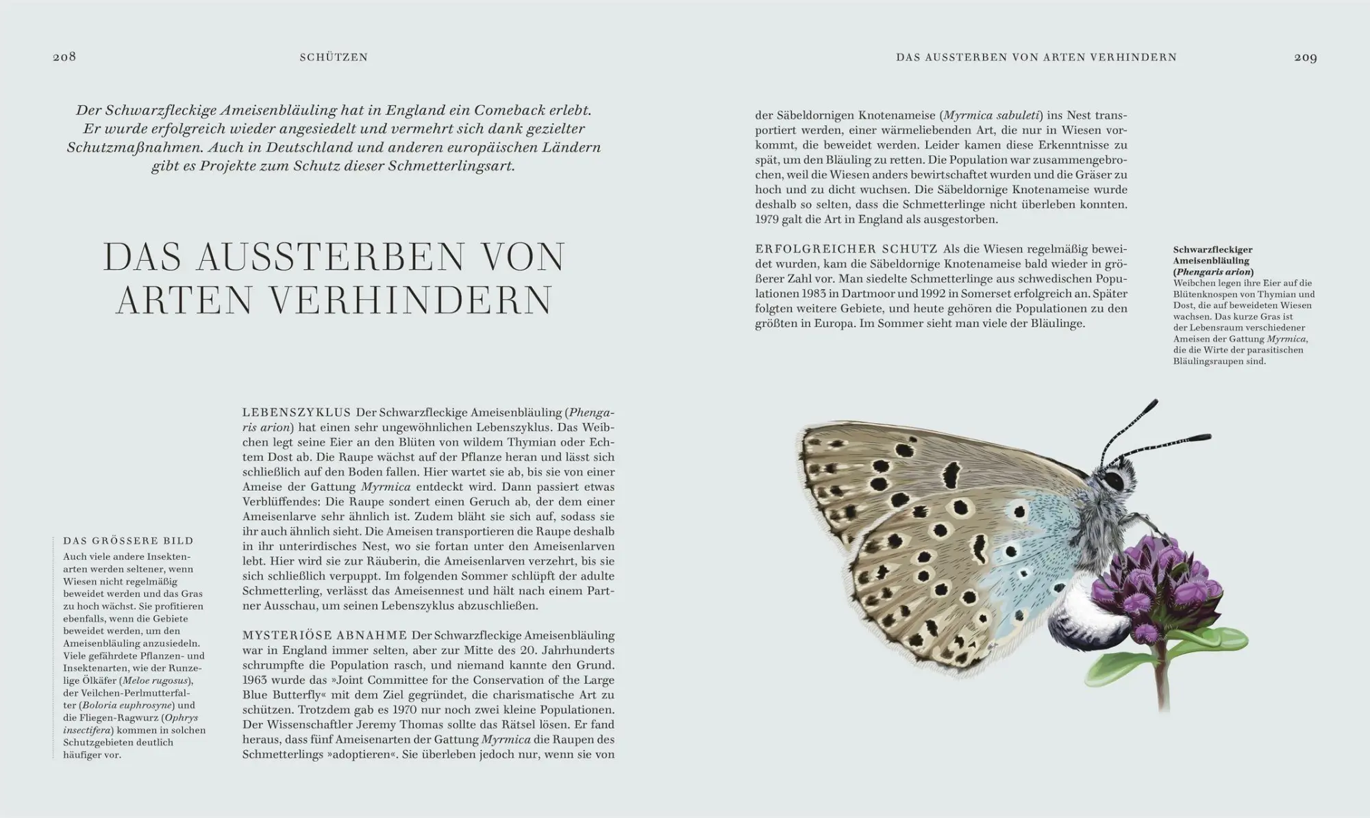 Bild: 9783831052288 | Insekten | DK Verlag | Buch | Faszination Natur | 256 S. | Deutsch