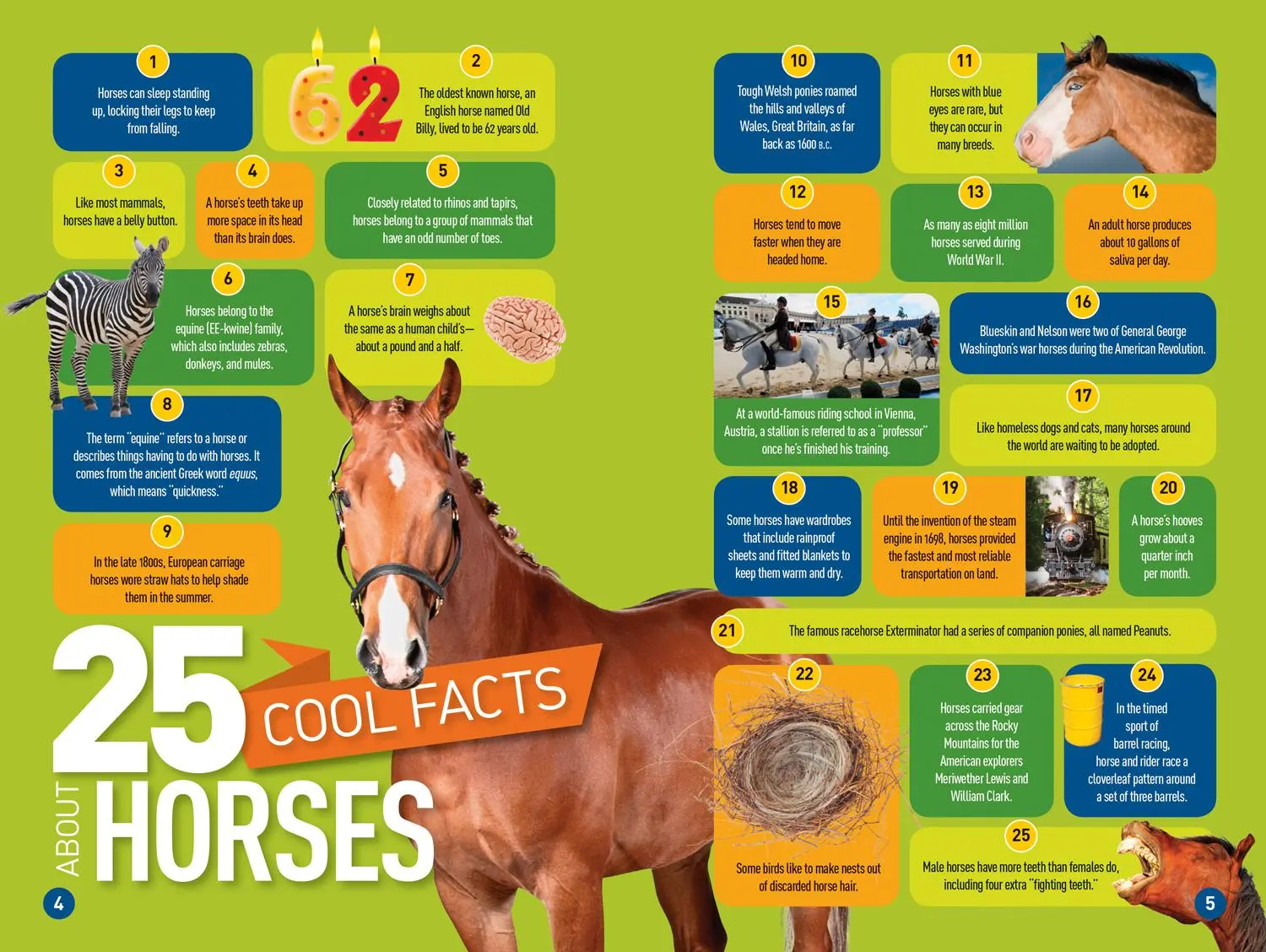 Bild: 9781426332388 | Gallop! (National Geographic Kids Readers, Level 3) | Kitson Jazynka