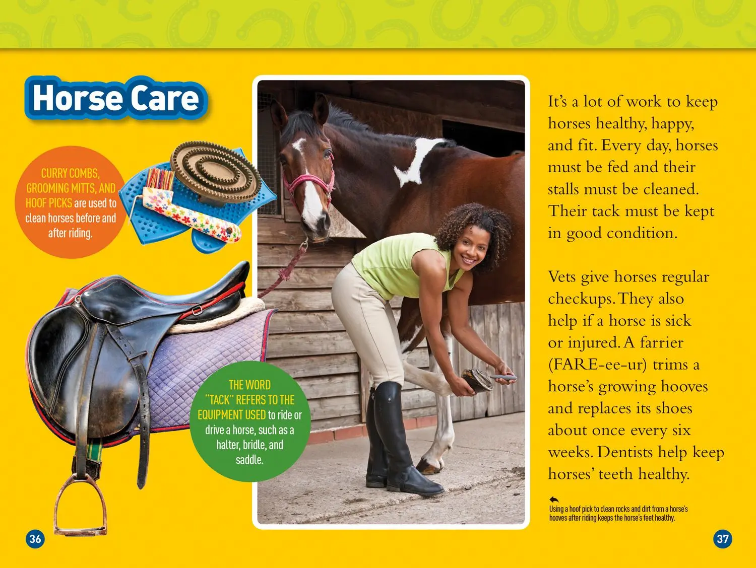 Bild: 9781426332388 | Gallop! (National Geographic Kids Readers, Level 3) | Kitson Jazynka