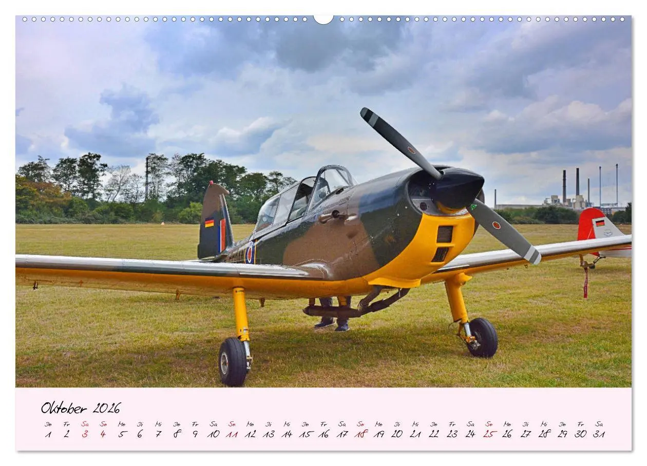 Bild: 9783457682388 | Schätzchen der Lüfte (hochwertiger Premium Wandkalender 2026 DIN A2...