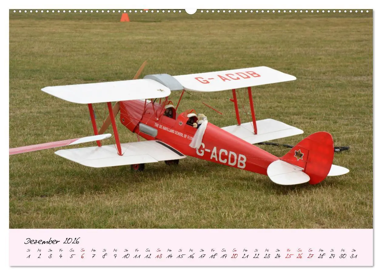 Bild: 9783457682388 | Schätzchen der Lüfte (hochwertiger Premium Wandkalender 2026 DIN A2...