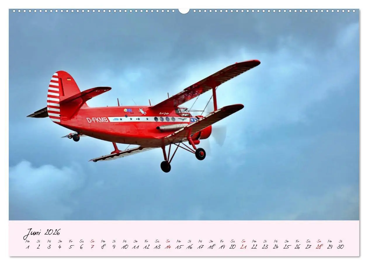 Bild: 9783457682388 | Schätzchen der Lüfte (hochwertiger Premium Wandkalender 2026 DIN A2...