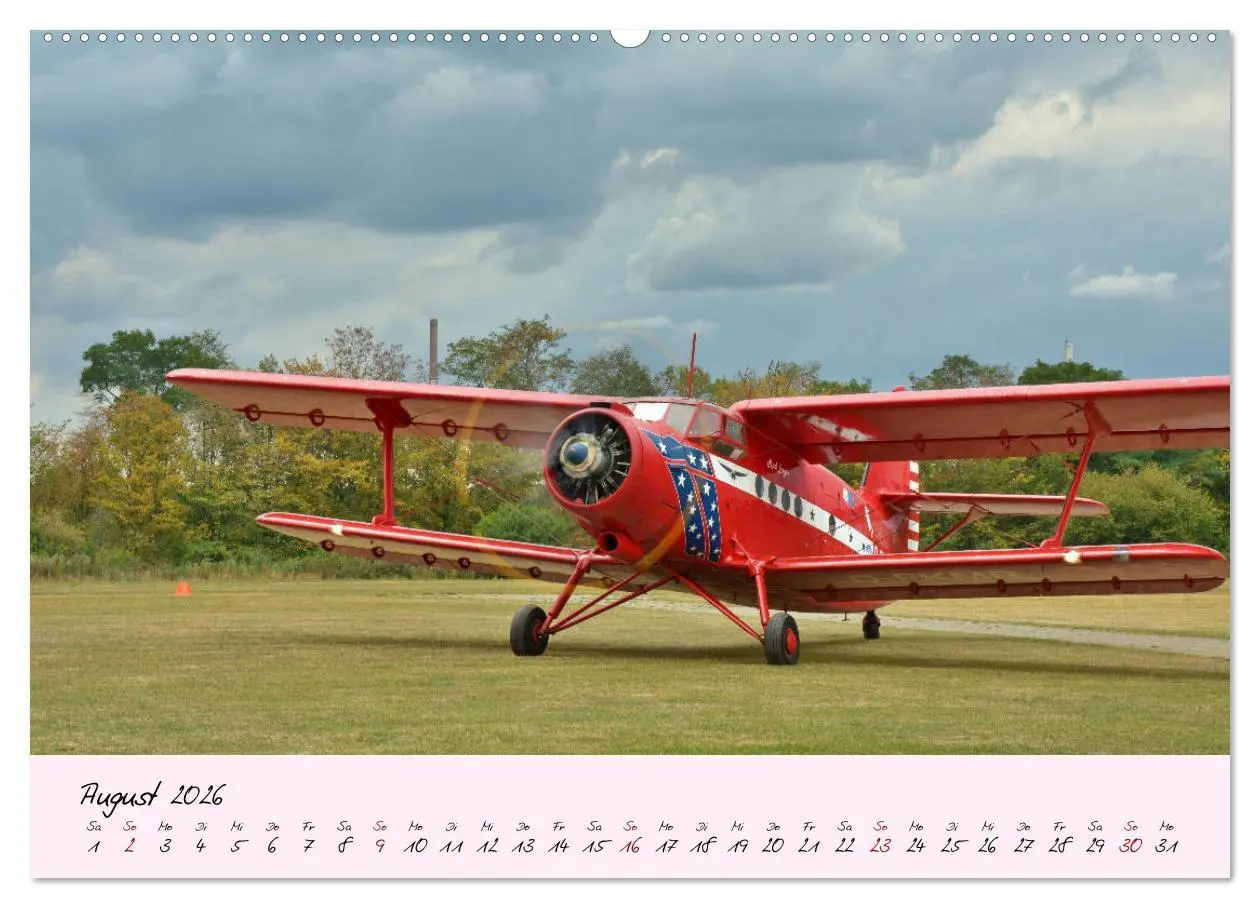 Bild: 9783457682388 | Schätzchen der Lüfte (hochwertiger Premium Wandkalender 2026 DIN A2...