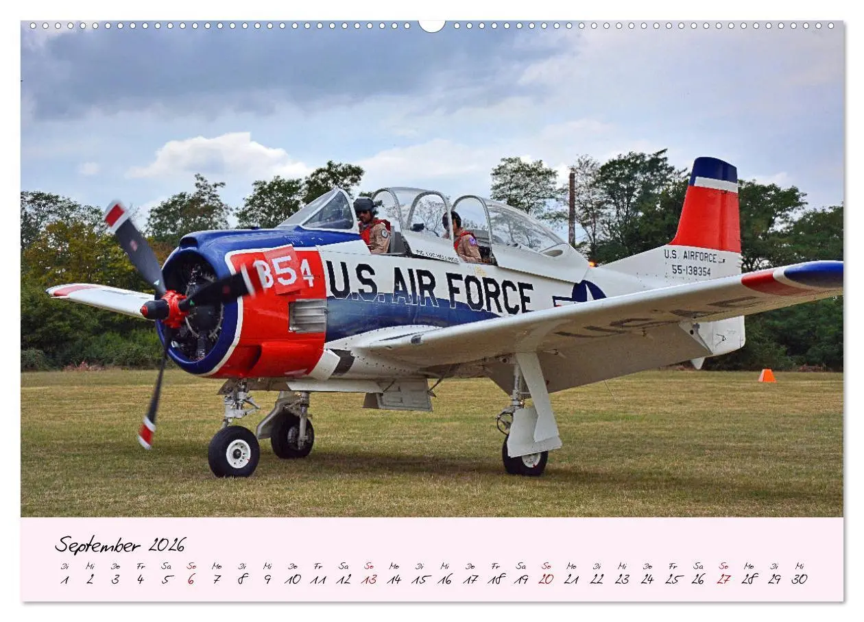 Bild: 9783457682388 | Schätzchen der Lüfte (hochwertiger Premium Wandkalender 2026 DIN A2...