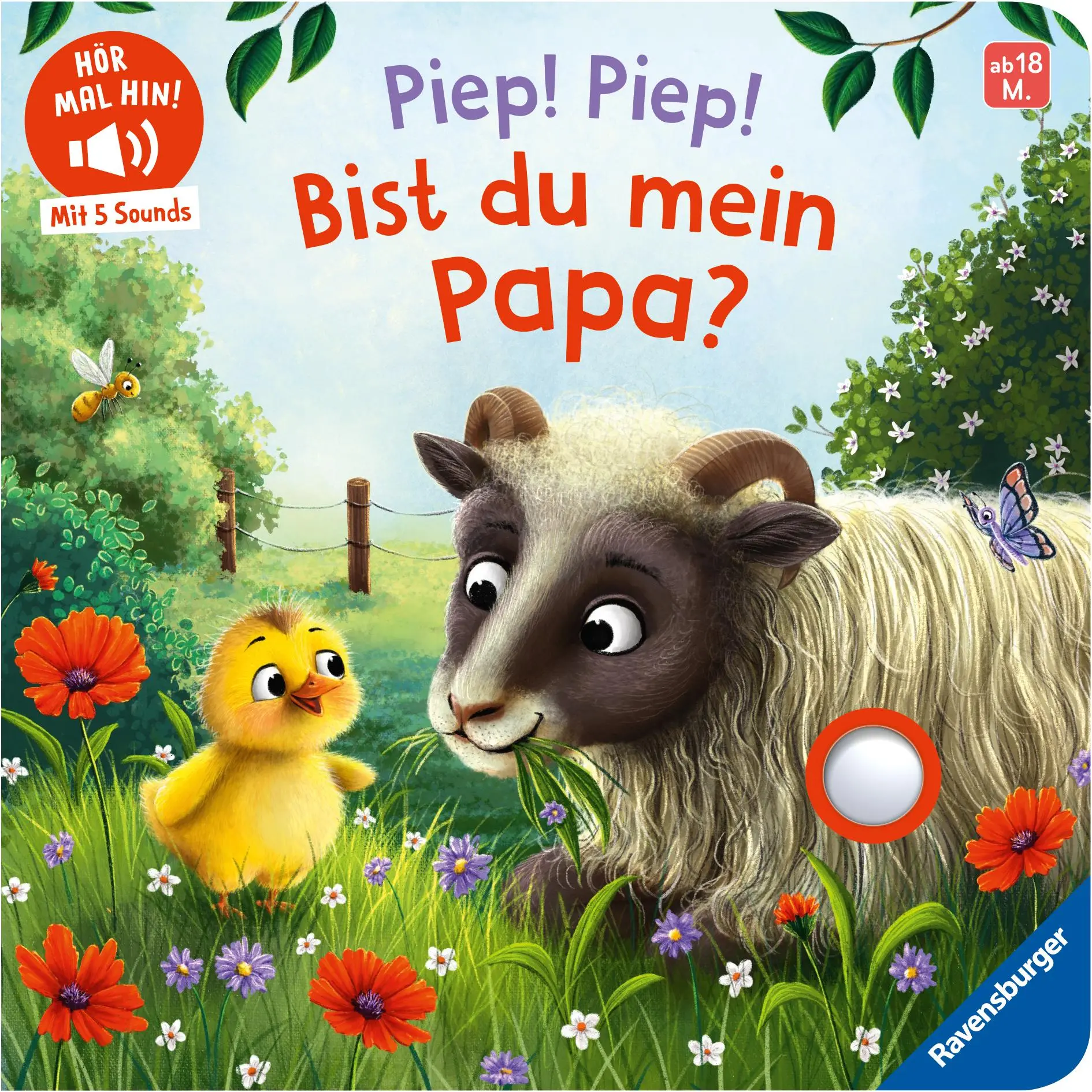 Cover: 9783473422388 | Hör mal hin - Piep! Piep! Bist du mein Papa? | Bernd Penners | Buch
