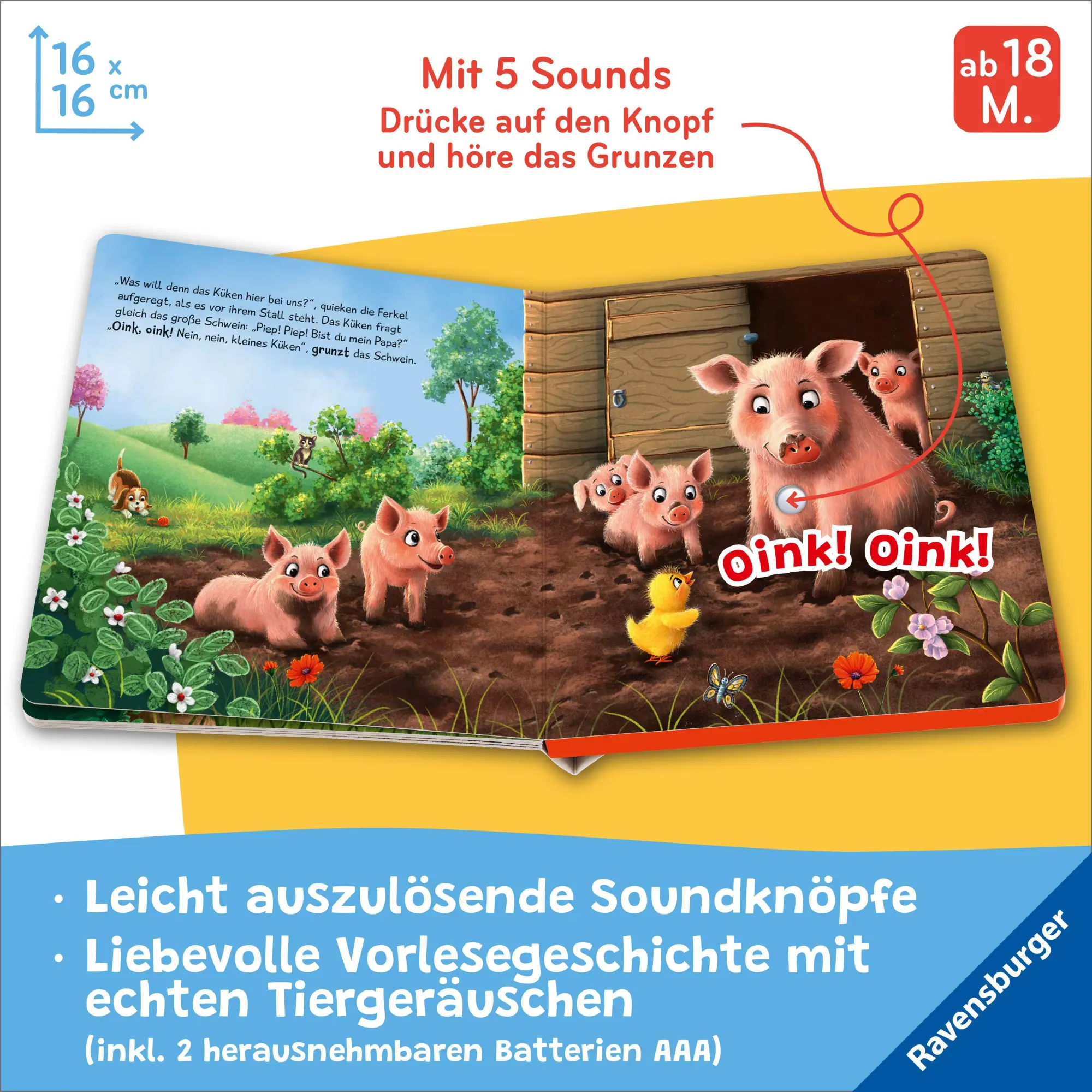 Bild: 9783473422388 | Hör mal hin - Piep! Piep! Bist du mein Papa? | Bernd Penners | Buch