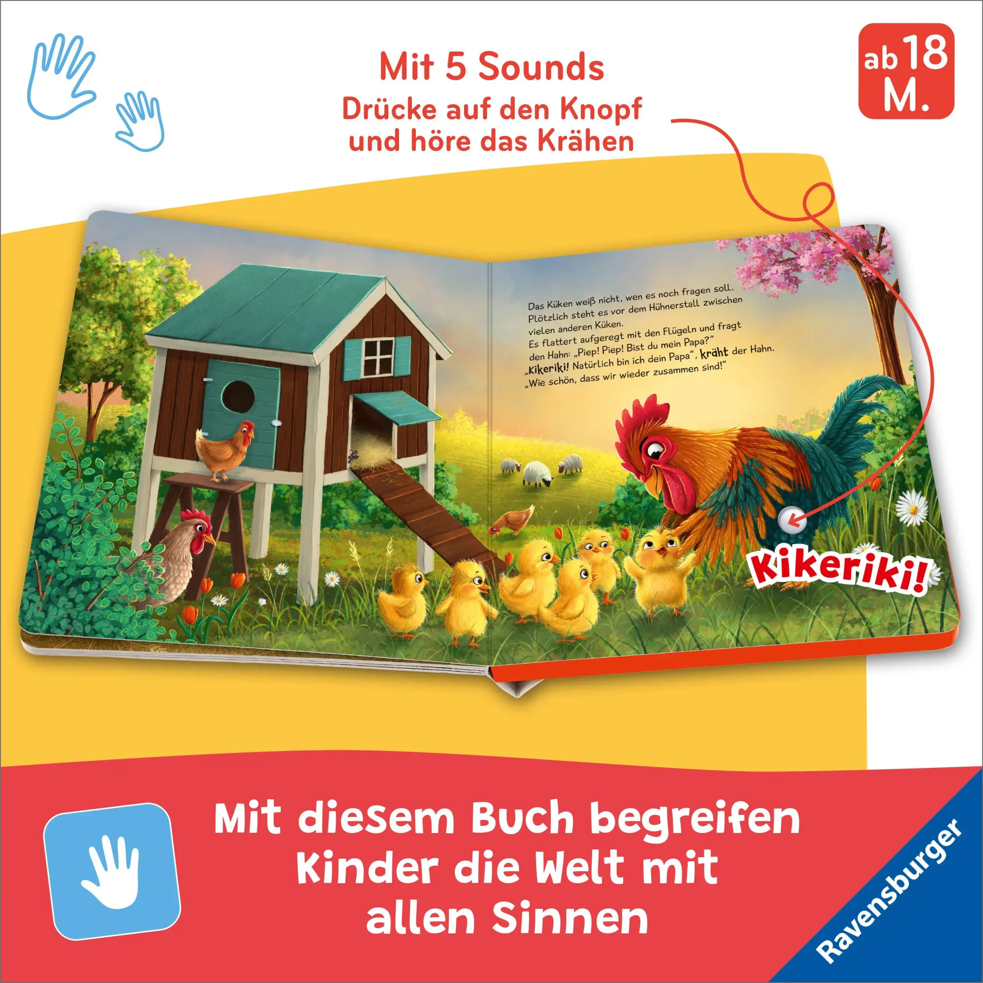 Bild: 9783473422388 | Hör mal hin - Piep! Piep! Bist du mein Papa? | Bernd Penners | Buch