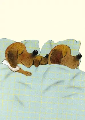 Cover: 9783779502388 | Familienbett, Postkarten | Wolf Erlbruch | 2011 | Peter Hammer Verlag