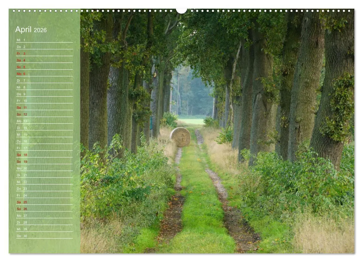 Bild: 9783457502488 | Wendlandreise (hochwertiger Premium Wandkalender 2026 DIN A2 quer),...