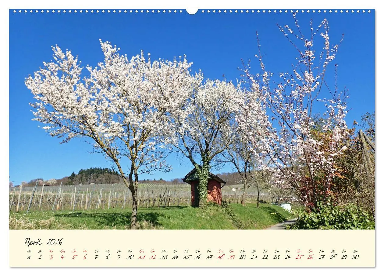 Bild: 9783457672488 | Malerisches Heppenheim an der Bergstraße (hochwertiger Premium...