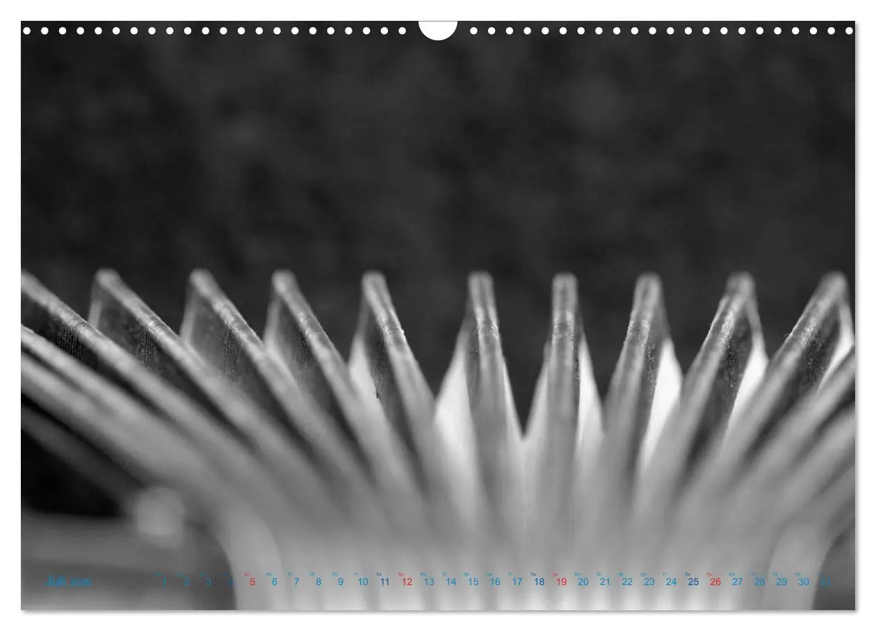 Bild: 9783457982488 | Akkordeon - close up (Wandkalender 2026 DIN A3 quer), CALVENDO...