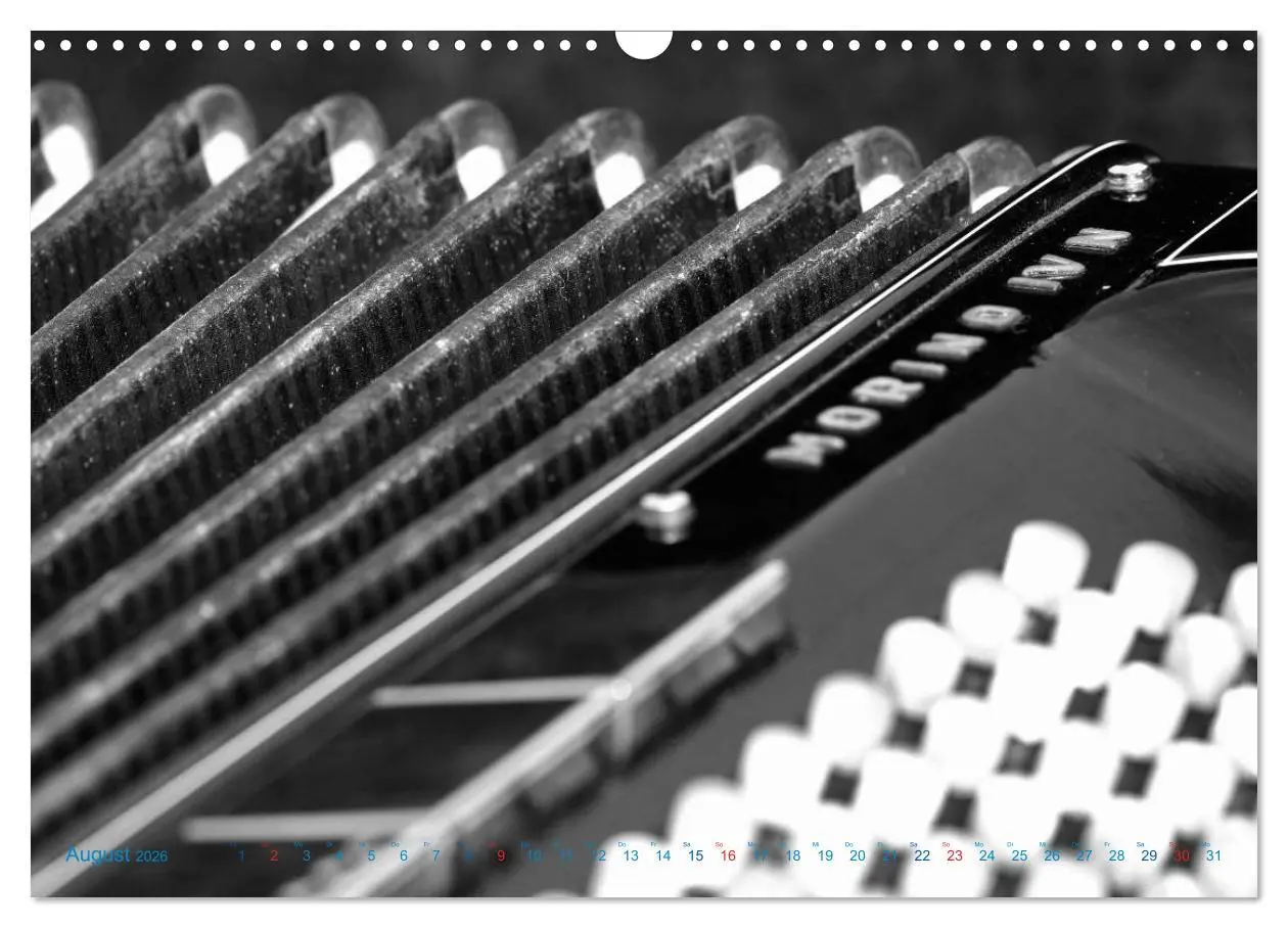 Bild: 9783457982488 | Akkordeon - close up (Wandkalender 2026 DIN A3 quer), CALVENDO...