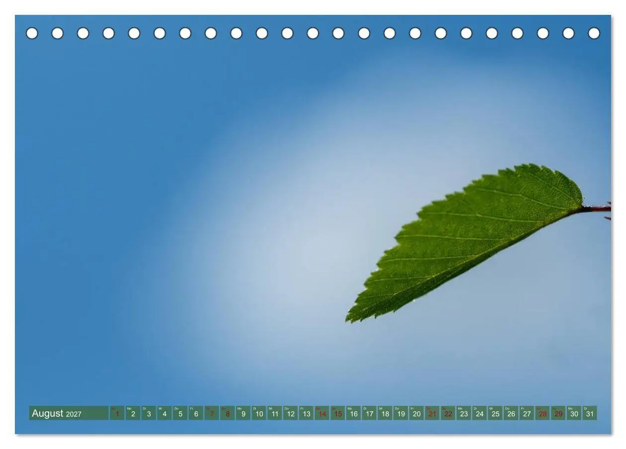 Bild: 9783569782488 | Bonsai ganz nah (Tischkalender 2027 DIN A5 quer), CALVENDO...