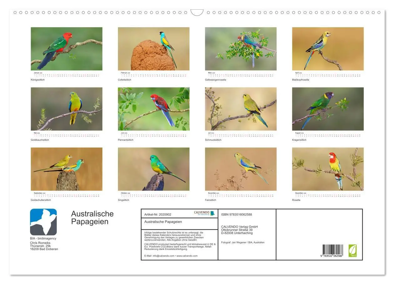 Bild: 9783516062588 | Australische Papageien (Wandkalender 2026 DIN A2 quer), CALVENDO...