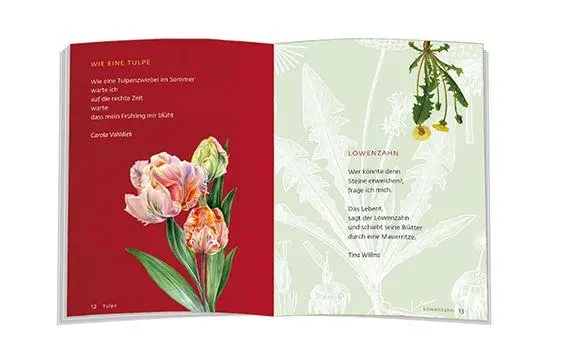 Bild: 9783987002588 | Blumen für das ganze Jahr | Ein Florarium zum Wohlfühlen | Buch | 2026