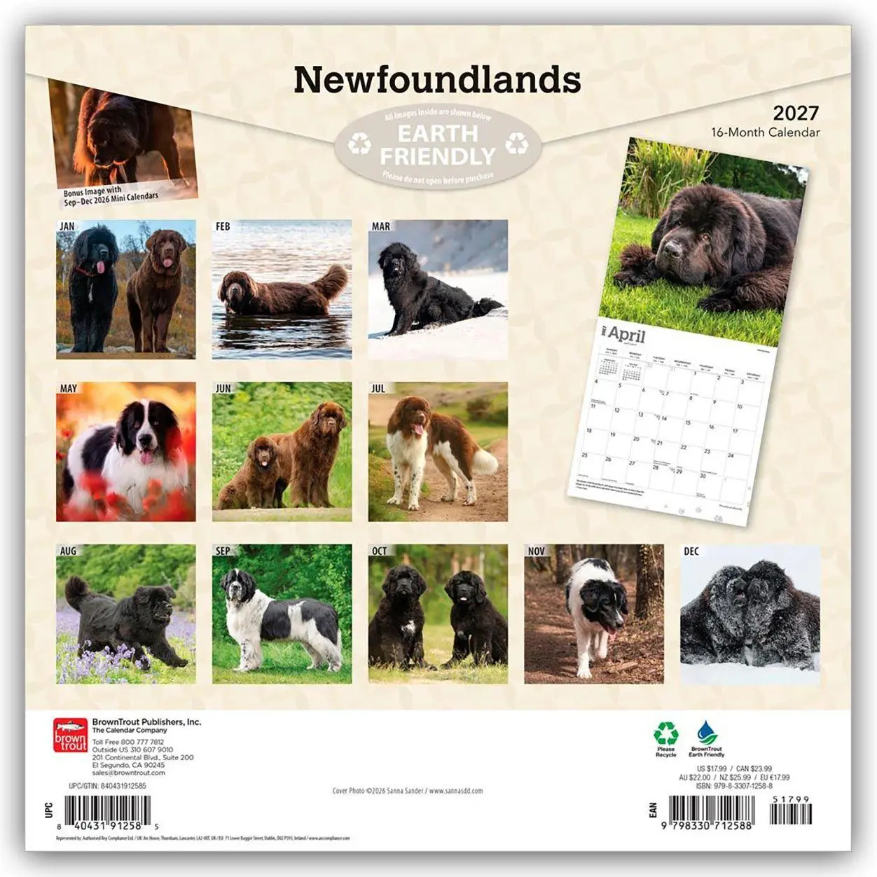 Rückseite: 9798330712588 | Newfoundlands - Neufundländer 2027 - 16-Monatskalender | Publishers