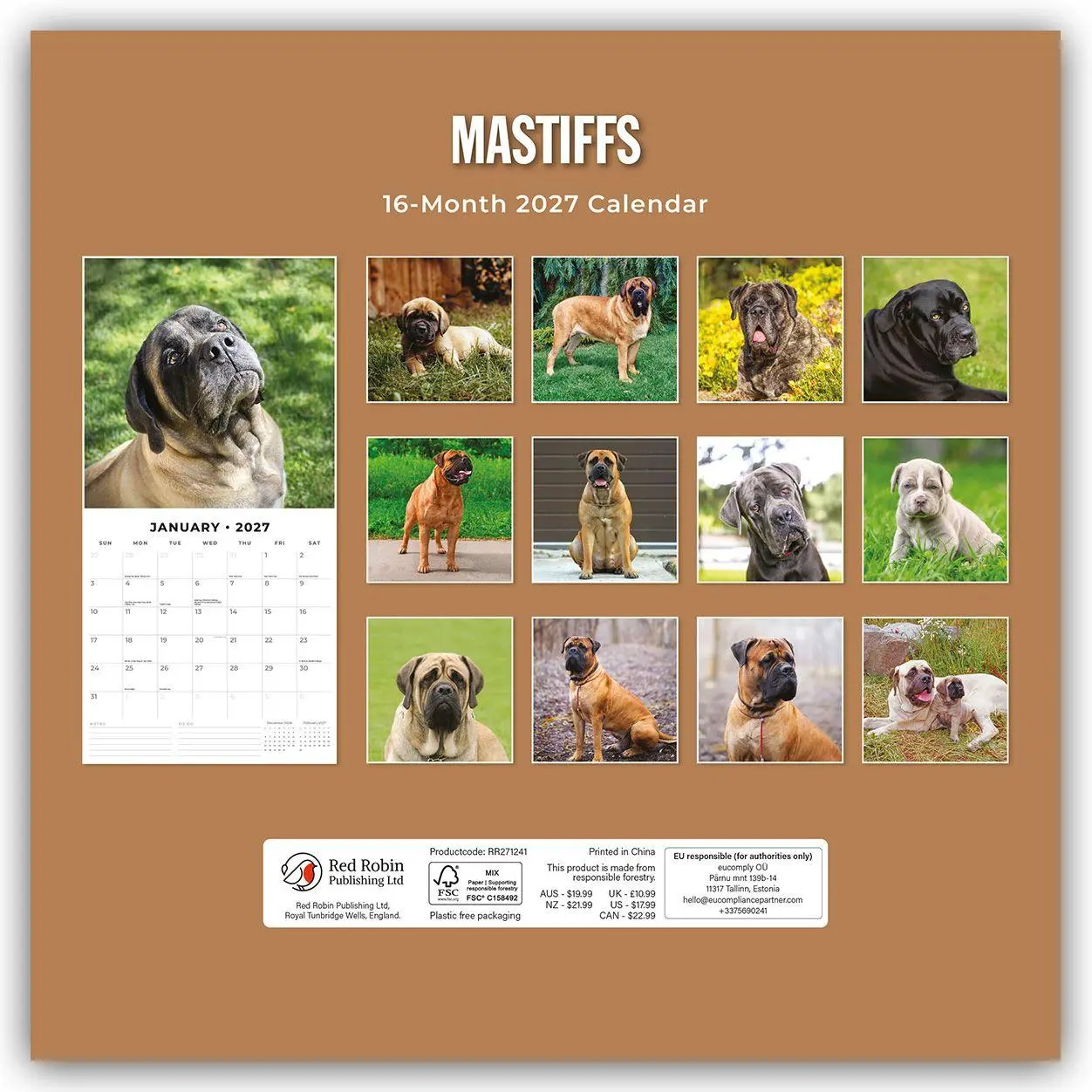 Rückseite: 9781837012688 | Mastiffs - Mastiff 2027 - 16-Monatskalender | Robin Red | Kalender
