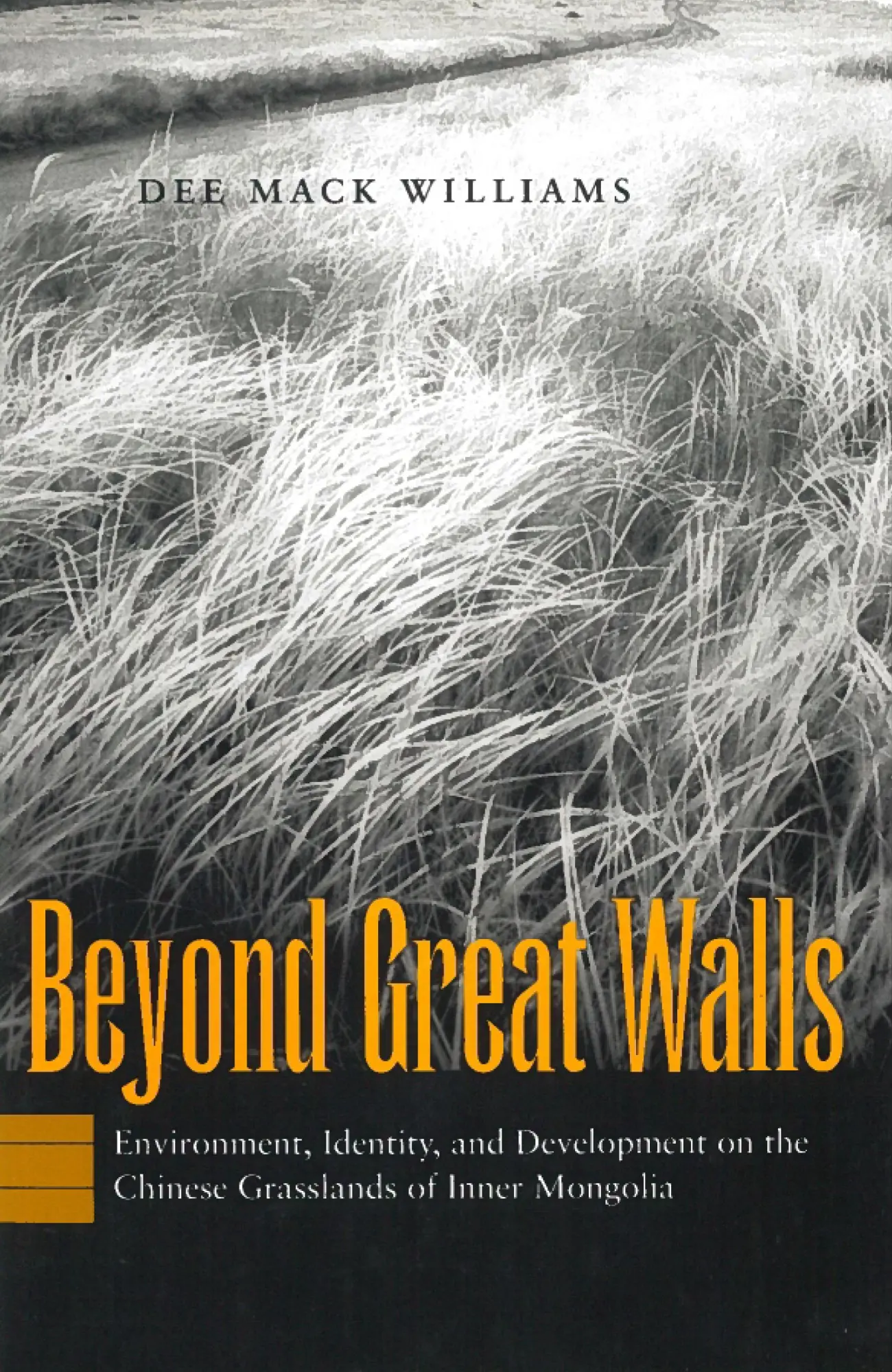 Cover: 9780804742788 | Beyond Great Walls | Dee Mack Williams | Buch | Gebunden | Englisch
