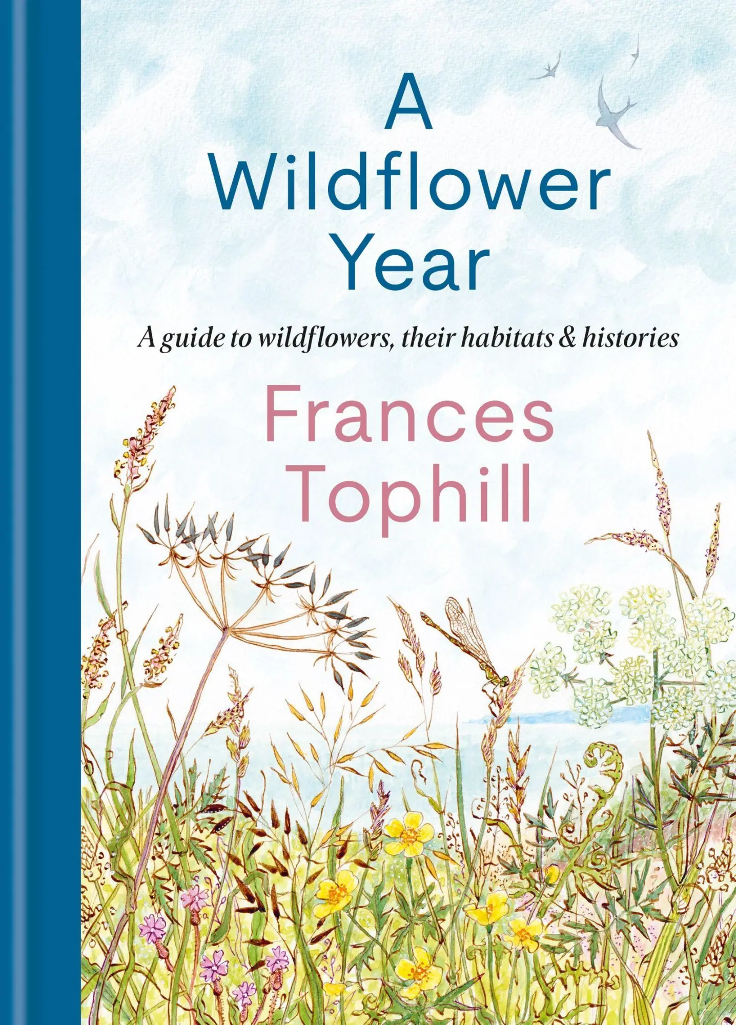 Cover: 9781804192788 | A Wildflower Year | A Guide to Wildflowers, their Habitats &amp; Histories