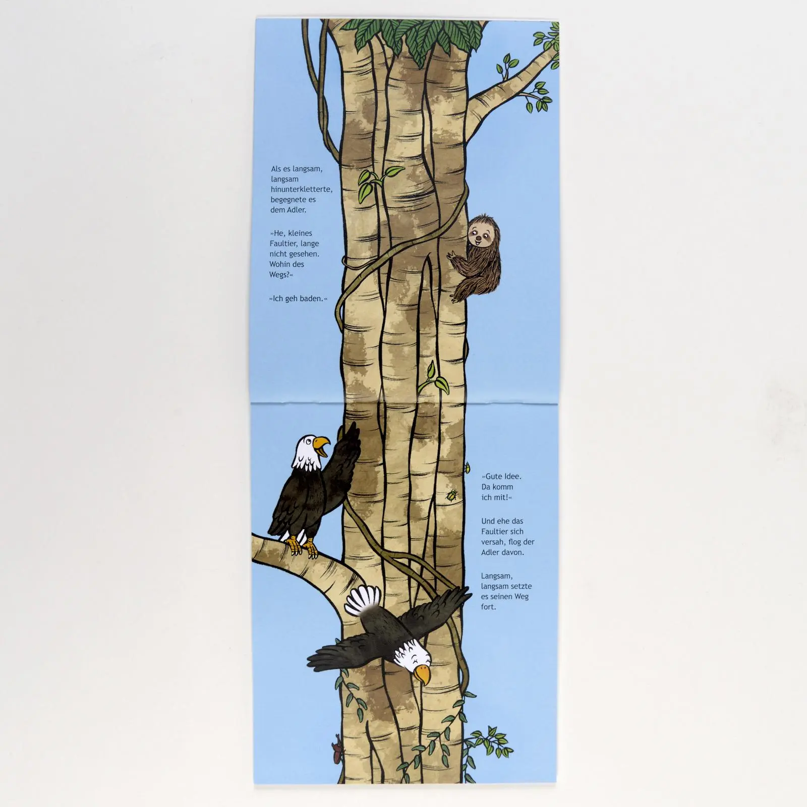 Bild: 9783407762788 | Beeil dich, kleines Faultier! | Vierfarbiges Bilderbuch | Ohmura
