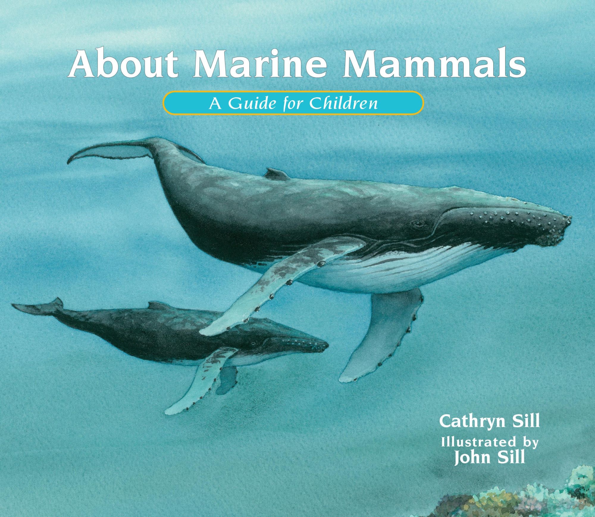 Cover: 9781682632888 | About Marine Mammals | A Guide for Children | Cathryn Sill | Buch