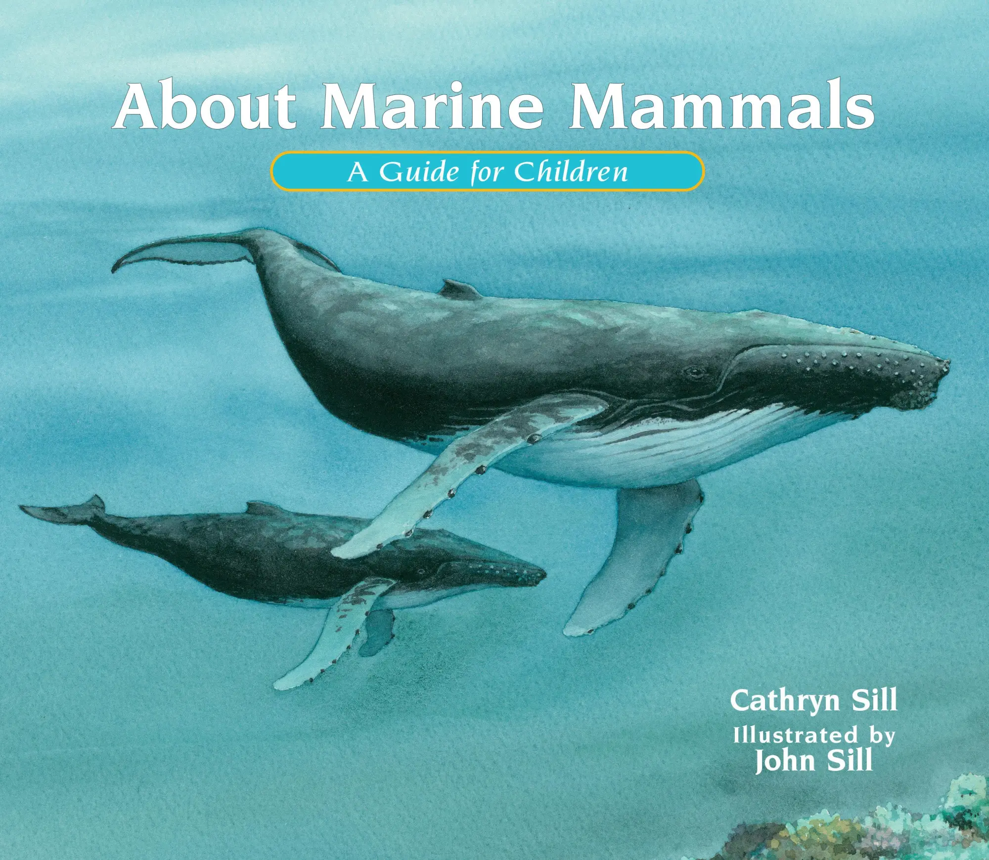 Cover: 9781682632888 | About Marine Mammals | A Guide for Children | Cathryn Sill | Buch