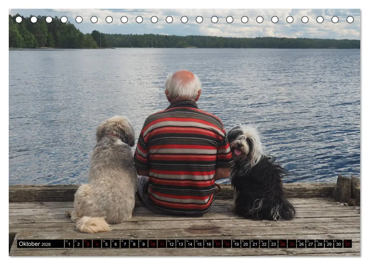 Bild: 9783457702888 | Tibet-Terrier - Eine Hunderasse mit Charakter (Tischkalender 2026...