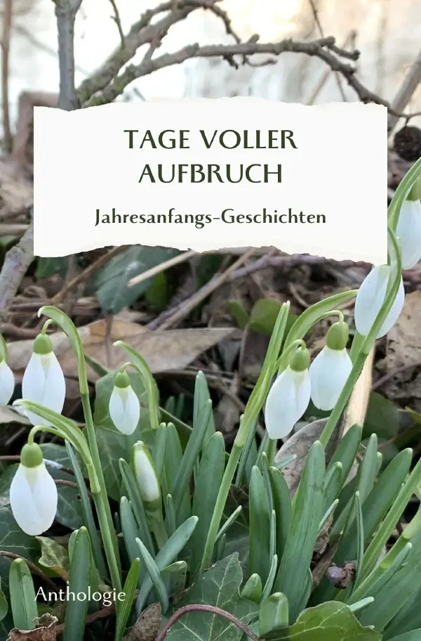 Cover: 9783759822888 | TAGE VOLLER AUFBRUCH - Jahresanfangsgeschichten | Thürauf (u. a.)