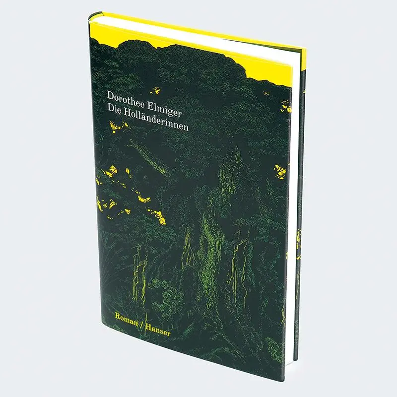 Bild: 9783446282988 | Die Holländerinnen | Roman | Dorothee Elmiger | Buch | 160 S. | 2025