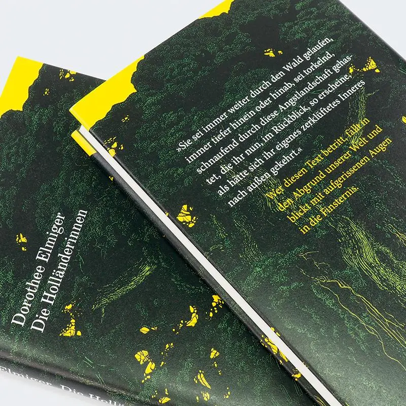 Bild: 9783446282988 | Die Holländerinnen | Roman | Dorothee Elmiger | Buch | 160 S. | 2025