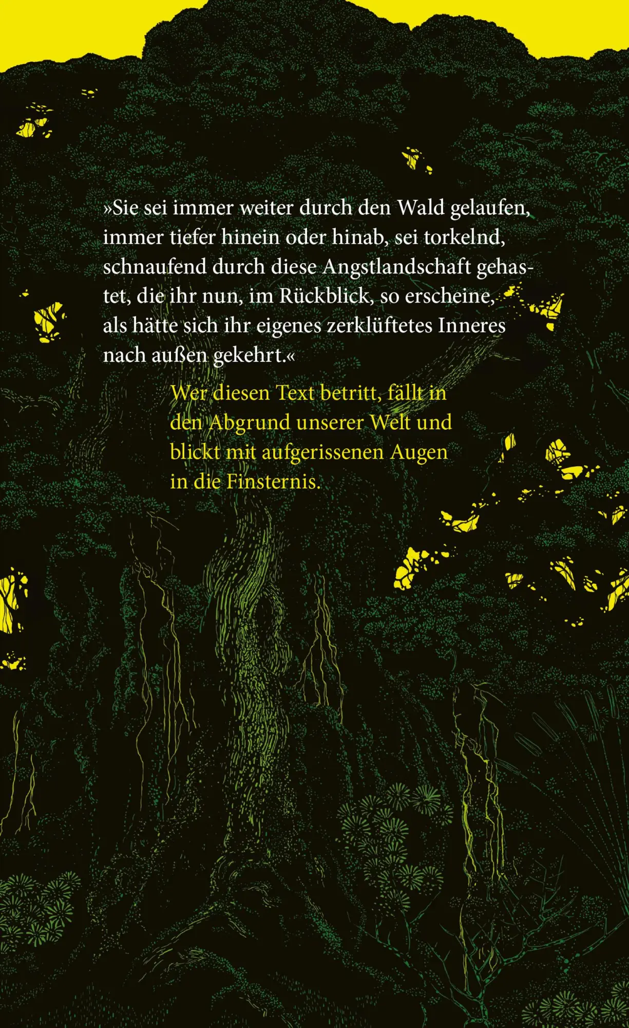Bild: 9783446282988 | Die Holländerinnen | Roman | Dorothee Elmiger | Buch | 160 S. | 2025