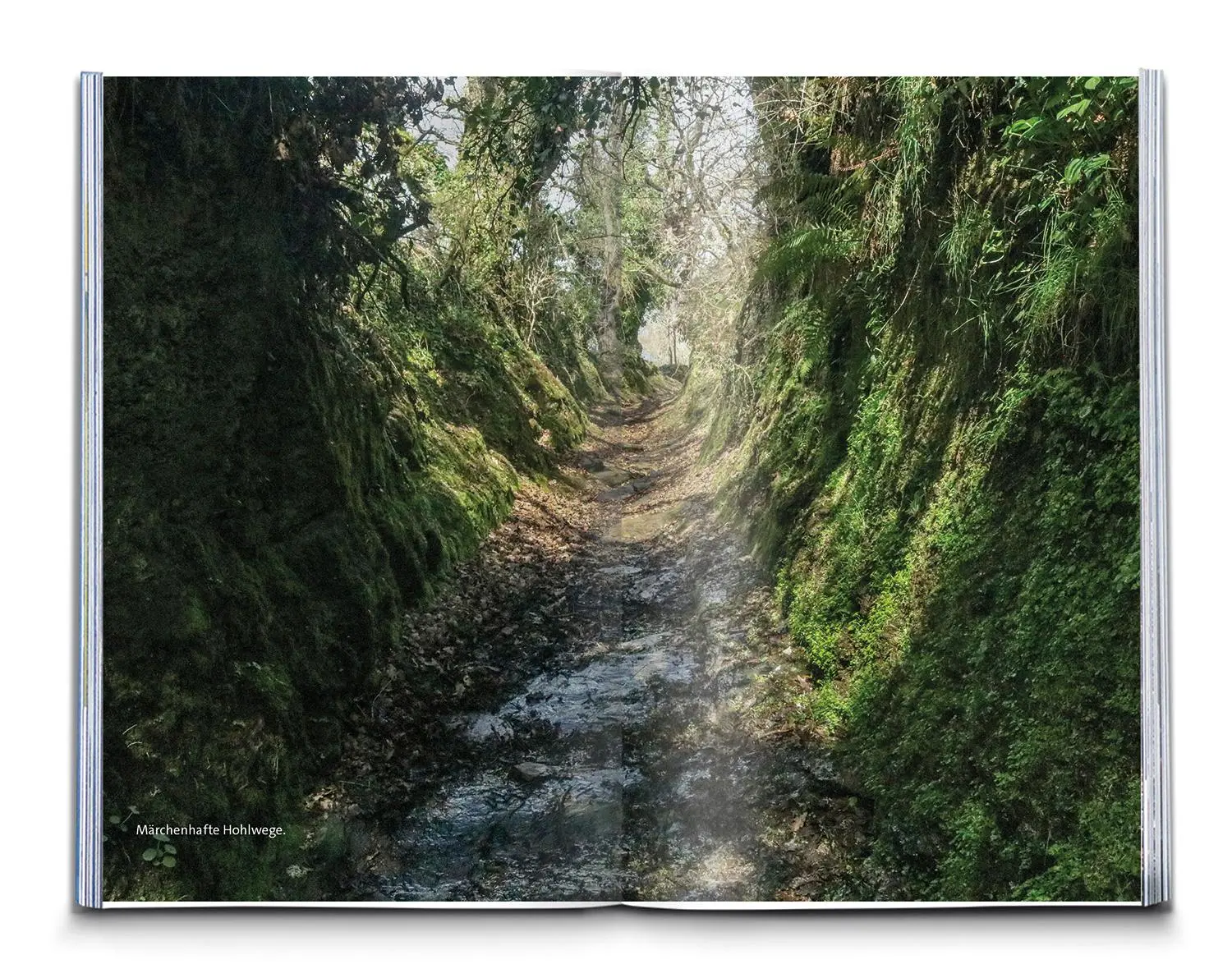 Bild: 9783991542988 | KOMPASS Wanderführer Jakobsweg Spanien, Camino Francés. Von den...