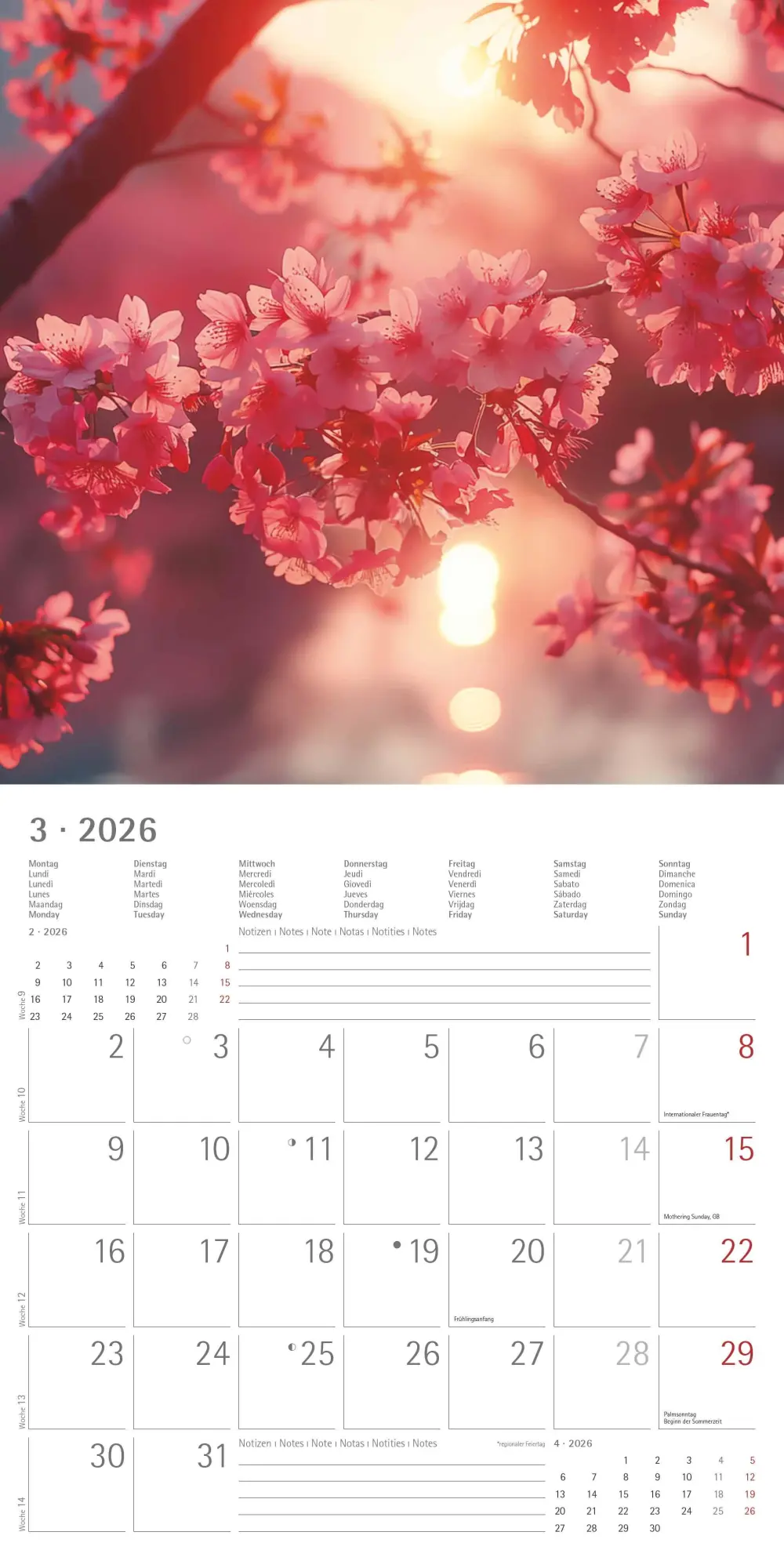 Bild: 4069095003088 | Sunny Moments 2026 - Broschürenkalender 30x30 cm (30x60 geöffnet) -...