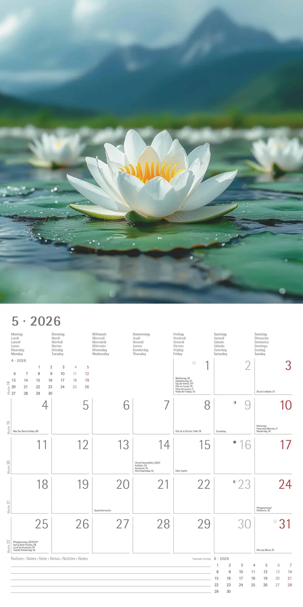 Bild: 4069095003088 | Sunny Moments 2026 - Broschürenkalender 30x30 cm (30x60 geöffnet) -...