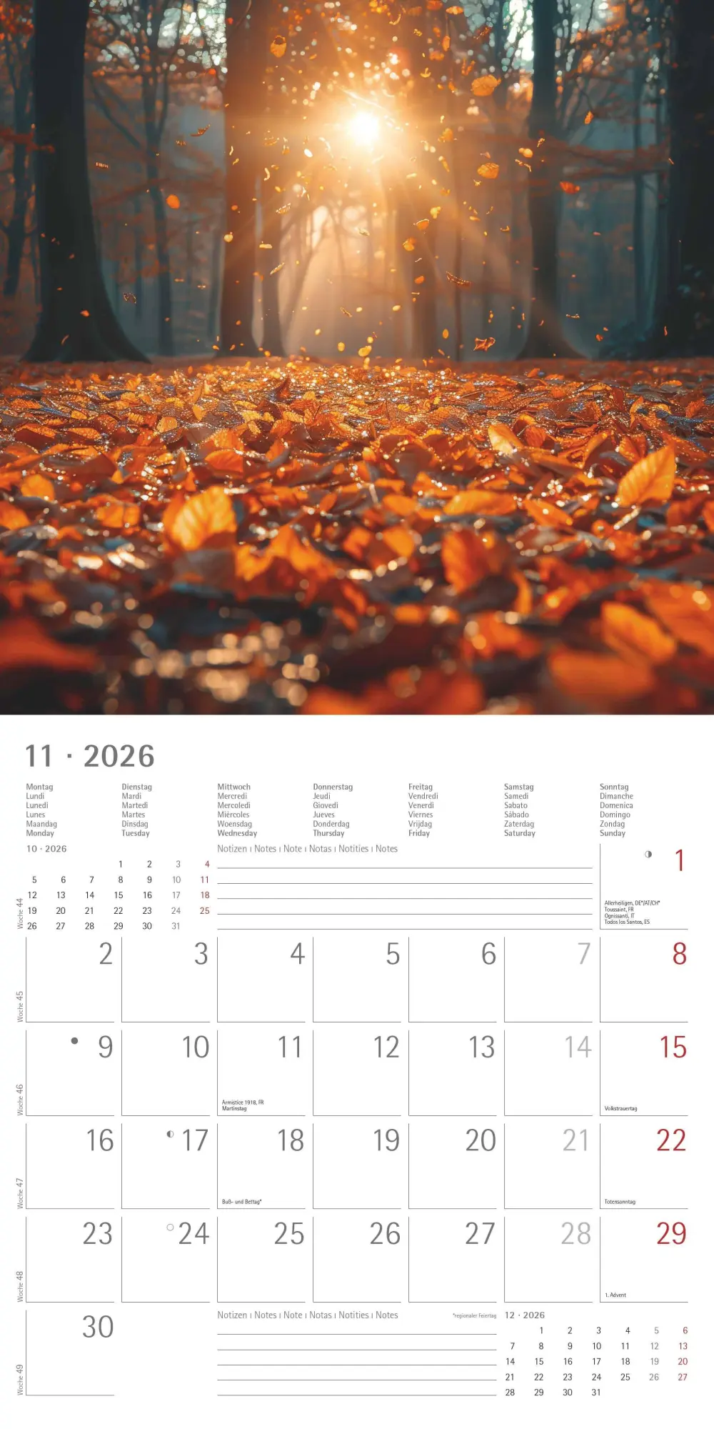 Bild: 4069095003088 | Sunny Moments 2026 - Broschürenkalender 30x30 cm (30x60 geöffnet) -...