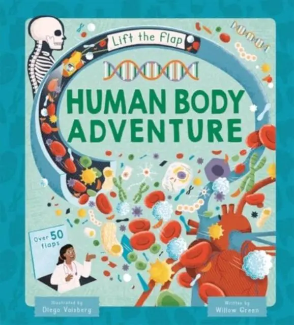 Cover: 9781835443088 | Human Body Adventure | Autumn Publishing | Buch | Englisch | 2025