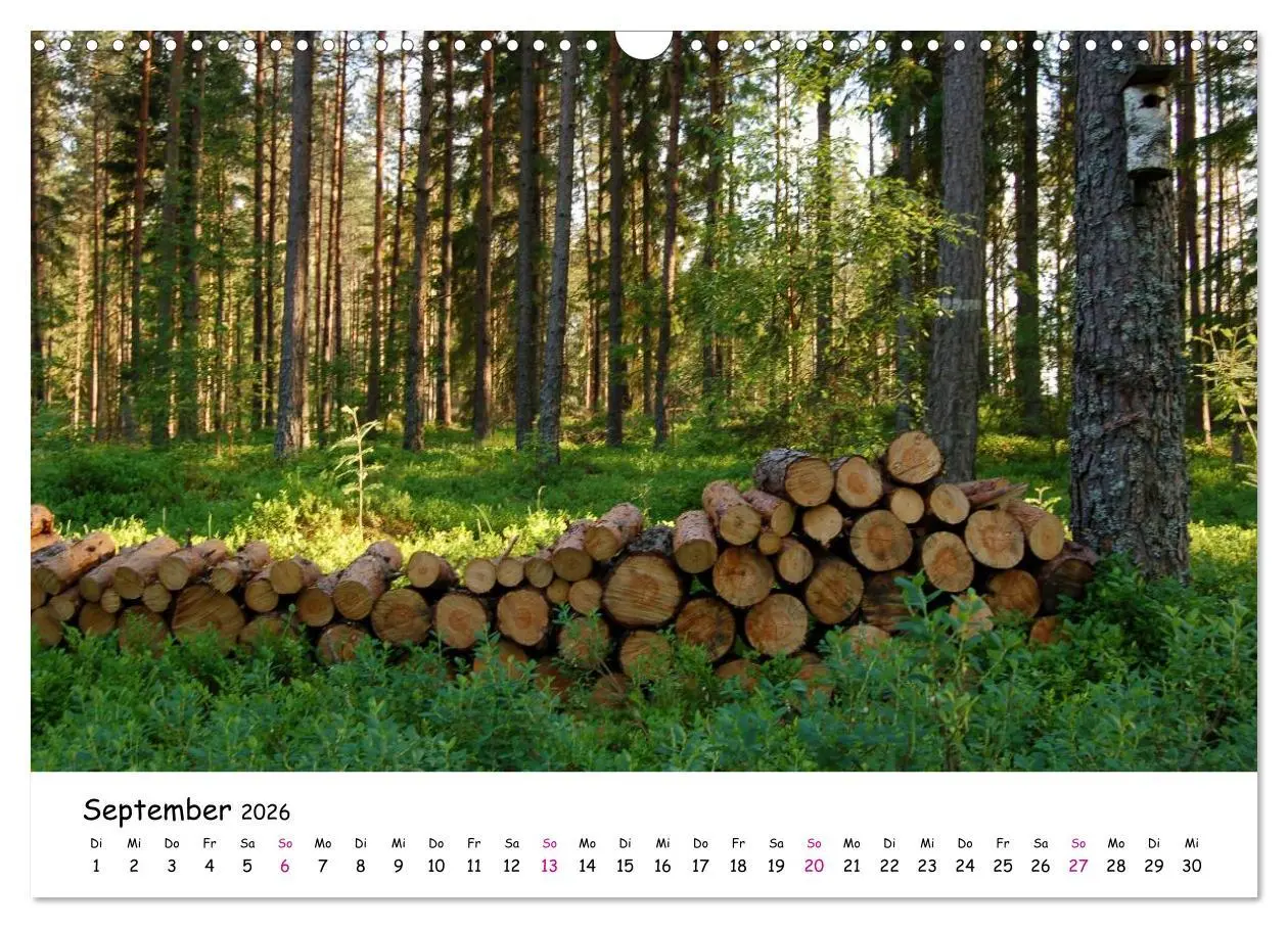 Bild: 9783516153088 | Südschweden Smaland 2026 (Wandkalender 2026 DIN A3 quer), CALVENDO...