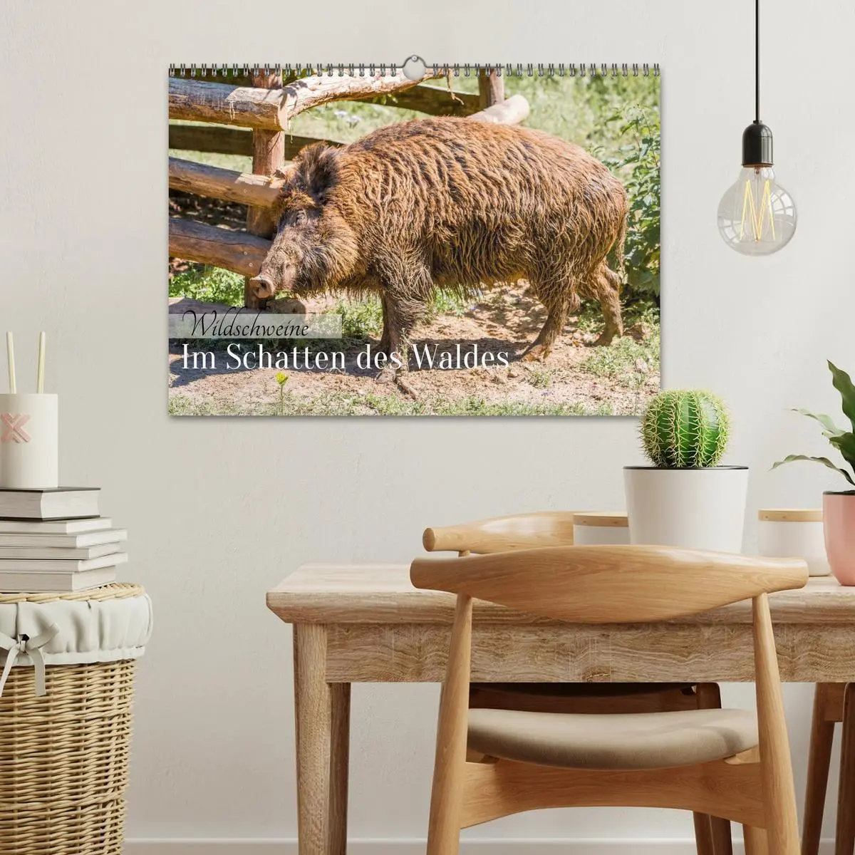 Bild: 9783516603088 | Wildschweine - Im Schatten des Waldes (Wandkalender 2026 DIN A3...